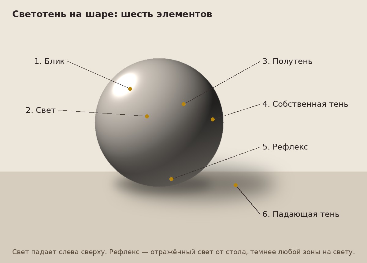Светотень на шаре: блик, свет, полутень, собственная тень, рефлекс и падающая тень — схема